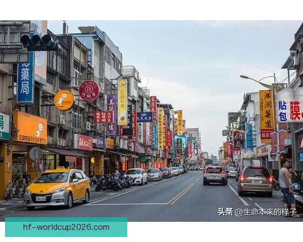 馆长感慨台湾环境恶劣：生活中常见斗争与冲突的困境